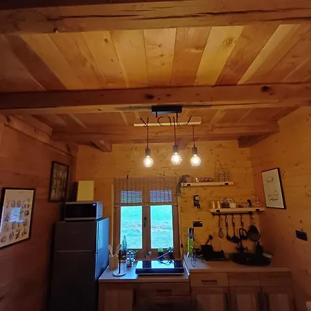 Holiday home Drinska Dama *